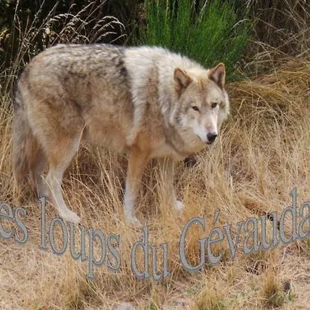 Lozère Aubrac Margeride Promo Appartamento