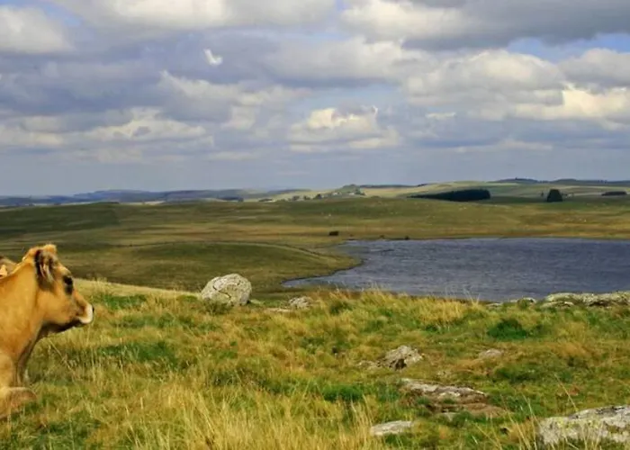 Lozere Aubrac Margeride Promo *